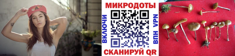 купить наркотик  Сергач  даркнет официальный сайт  Галлюциногенные грибы Psilocybe 